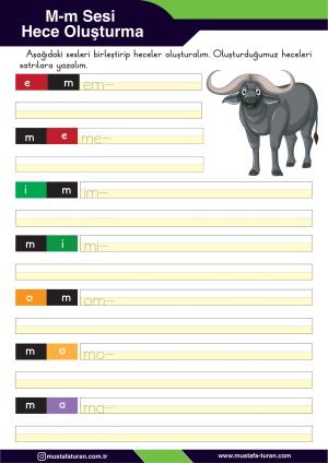 1. Sınıf M-m Sesi İlkokuma Yazma Etkinlikleri