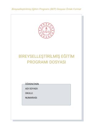 Bireyselleştirilmiş Eğitim Programı(BEP) Dosyası Örnek Format 