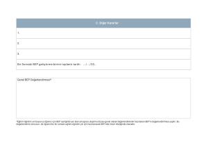 Bireyselleştirilmiş Eğitim Programı(BEP) Dosyası Örnek Format 