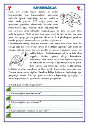 2nd Grade Reading Comprehension Activities