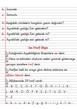 2. Sınıf Türkçe Dersi Dil Bilgisi Defter Notları