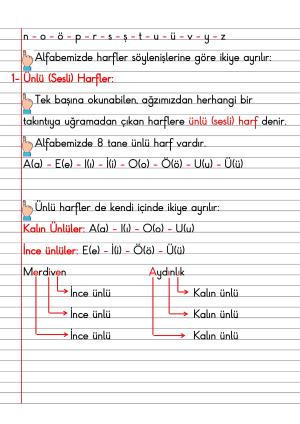 2. Sınıf Türkçe Dersi Dil Bilgisi Defter Notları