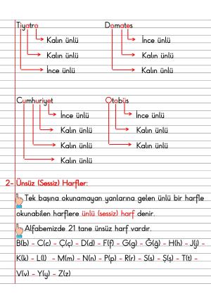 2. Sınıf Türkçe Dersi Dil Bilgisi Defter Notları