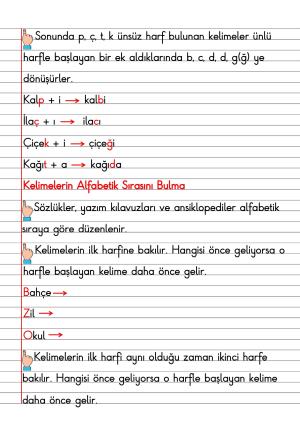 2. Sınıf Türkçe Dersi Dil Bilgisi Defter Notları