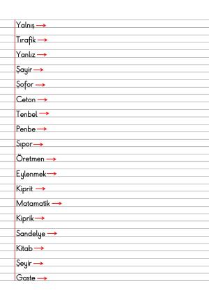 2. Sınıf Türkçe Dersi Dil Bilgisi Defter Notları