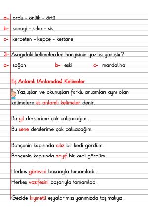 2. Sınıf Türkçe Dersi Dil Bilgisi Defter Notları