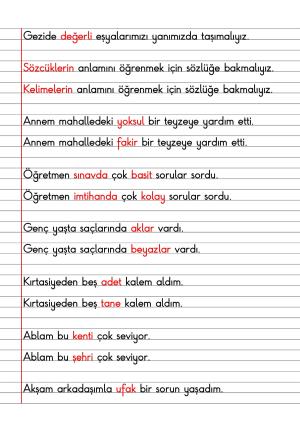 2. Sınıf Türkçe Dersi Dil Bilgisi Defter Notları