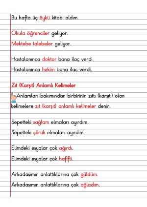 2. Sınıf Türkçe Dersi Dil Bilgisi Defter Notları