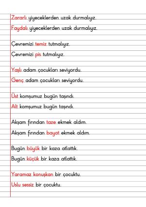 2. Sınıf Türkçe Dersi Dil Bilgisi Defter Notları