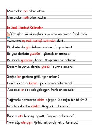 2. Sınıf Türkçe Dersi Dil Bilgisi Defter Notları