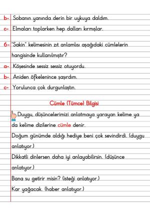 2. Sınıf Türkçe Dersi Dil Bilgisi Defter Notları