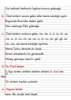 2. Sınıf Türkçe Dersi Dil Bilgisi Defter Notları