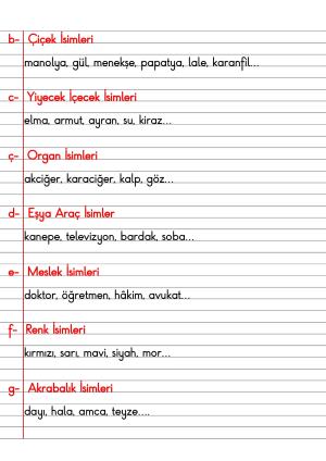 2. Sınıf Türkçe Dersi Dil Bilgisi Defter Notları