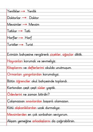 2. Sınıf Türkçe Dersi Dil Bilgisi Defter Notları