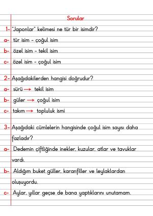 2. Sınıf Türkçe Dersi Dil Bilgisi Defter Notları