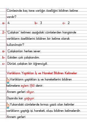 2. Sınıf Türkçe Dersi Dil Bilgisi Defter Notları