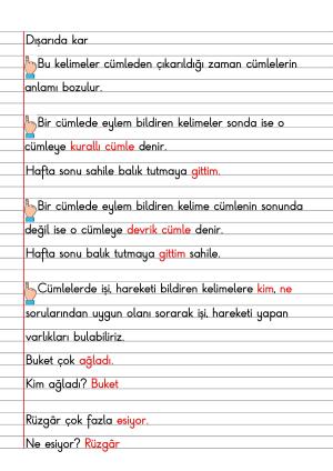 2. Sınıf Türkçe Dersi Dil Bilgisi Defter Notları