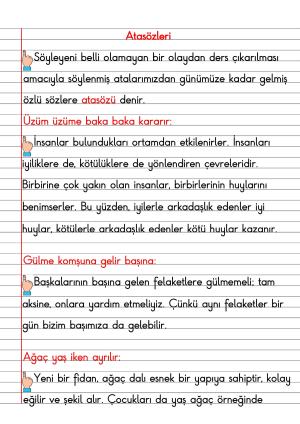 2. Sınıf Türkçe Dersi Dil Bilgisi Defter Notları