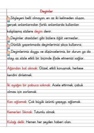 2. Sınıf Türkçe Dersi Dil Bilgisi Defter Notları