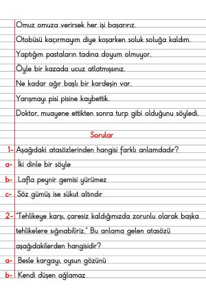 2. Sınıf Türkçe Dersi Dil Bilgisi Defter Notları