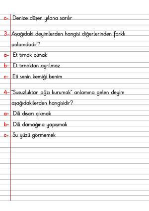 2. Sınıf Türkçe Dersi Dil Bilgisi Defter Notları