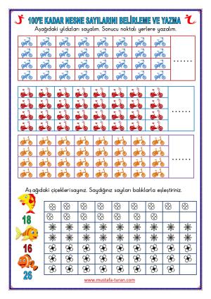 Determining and Writing Object Numbers up to 100 Activity-3