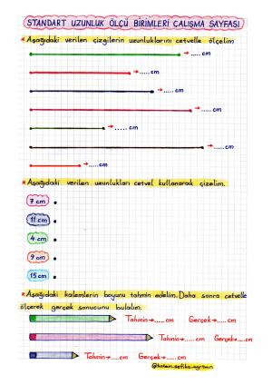 Standard-Arbeitsblatt für Längenmesseinheiten der 2. Klasse für Mathematik