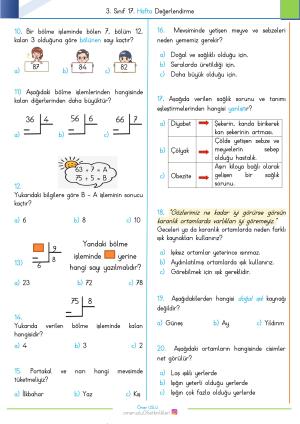 3. Sınıf 17. Hafta Değerlendirme Sınavı