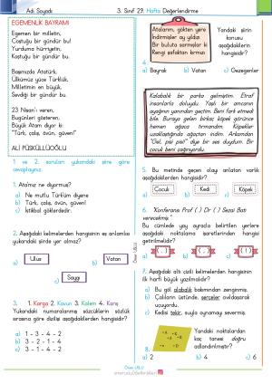 3. Sınıf 29. Hafta Değerlendirme Sınavı