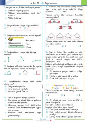 3. Sınıf 29. Hafta Değerlendirme Sınavı