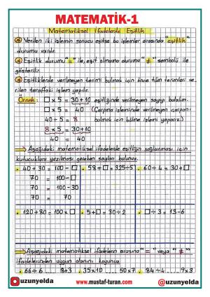 4. Sınıf 17. Hafta Etkinlikleri