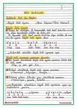 Aktivitäten für die 4. Klasse und die 3. Woche