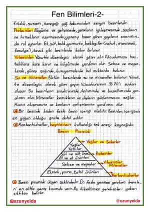 Aktivitäten für die 4. Klasse und die 6. Woche