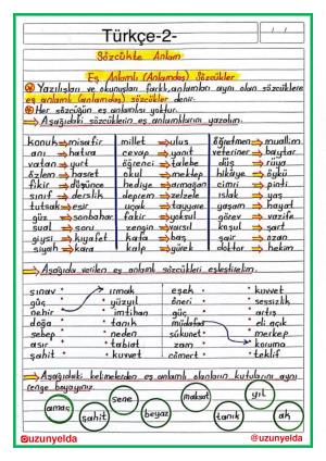 Aktivitäten für die 4. Klasse und die 6. Woche